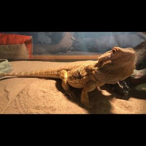 Meet your Posher, Christie